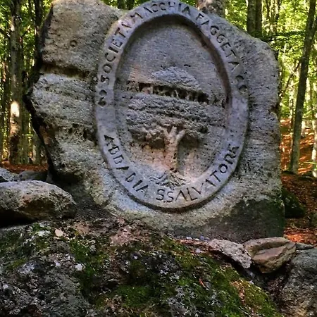 Casa Del Castorino *